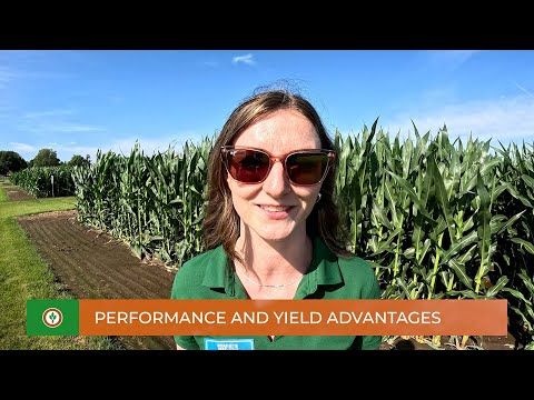 Corteva 2025 Field Day: Performance and yield advantages cover art