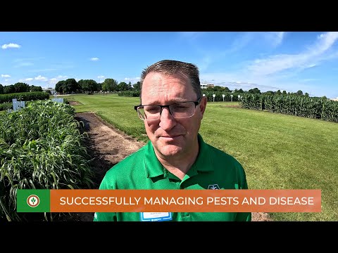 Corteva 2025 Field Day: Successfully managing pests and disease