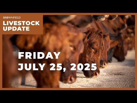 Placements down 8% in latest Cattle on Feed report | Weekly Livestock Market Update cover art