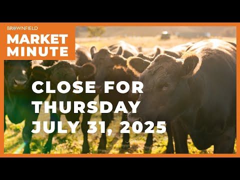 Cattle closed higher Friday | Closing Market Minute cover art